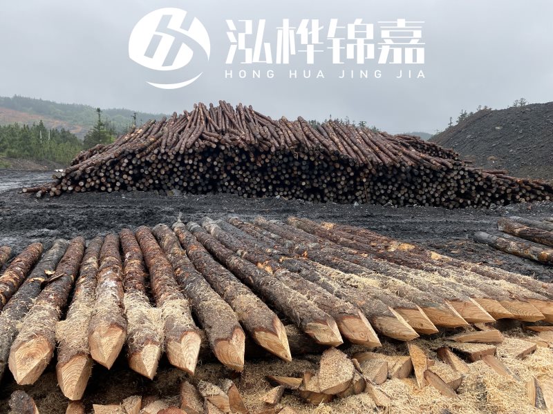 6米長(zhǎng)松木樁有哪些作用，多少錢(qián)一根？