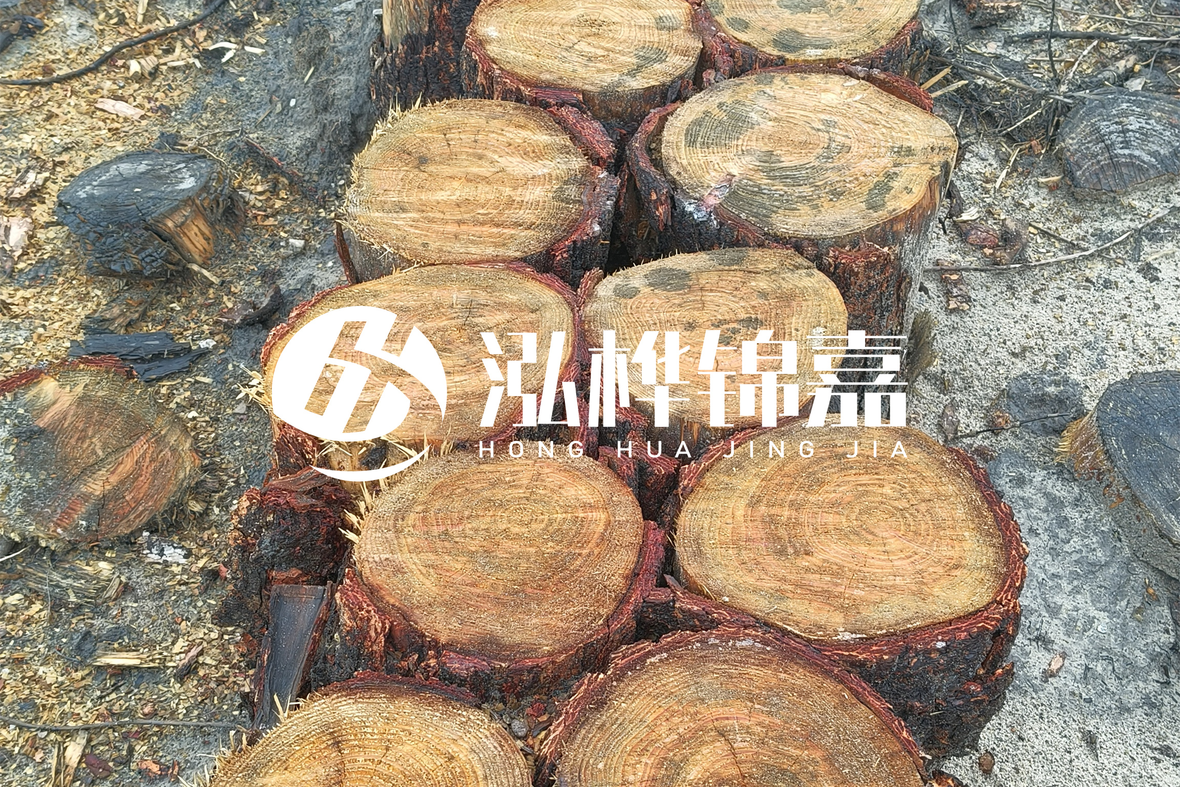 浙江臺(tái)州有清淤的公司嗎？浙江臺(tái)州有清淤施工隊(duì)嗎？