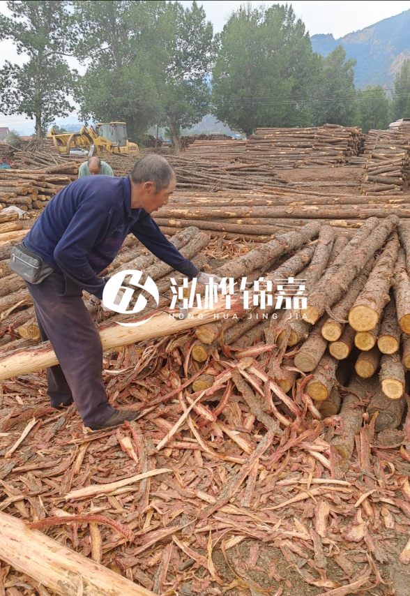東營河道清淤專業(yè)施工隊-不同型號挖機清淤能力對比？
