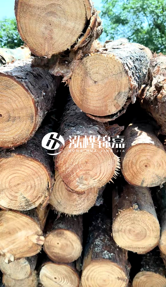 周口挖機(jī)打木樁專業(yè)施工-杉木樁施工打樁怎么打？