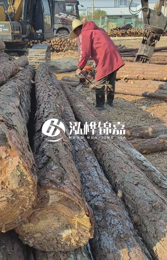 長沙打樁木批發(fā)廠家在哪里？聯(lián)系方式是什么？