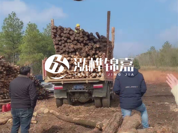 松木樁價格是按米算還是按根算？6米松木樁批發(fā)價每根多少錢？