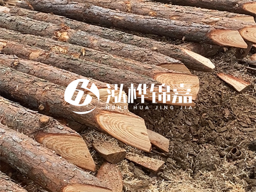 松木樁削尖的費用怎么算？按根收費還是包含在單價里？