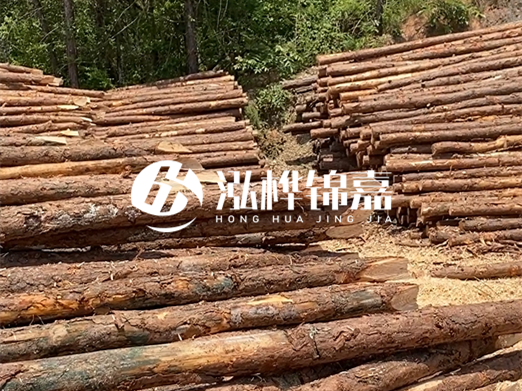 松木樁的運(yùn)輸費(fèi)用是否包含卸車(chē)費(fèi)？卸貨時(shí)需要注意哪些安全問(wèn)題？