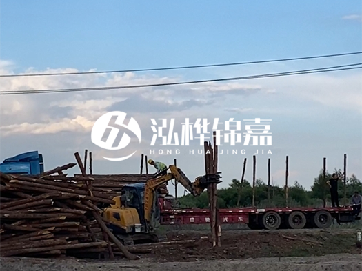 河北打樁木源頭廠家泓樺錦嘉 - 北方常用打樁木是什么？