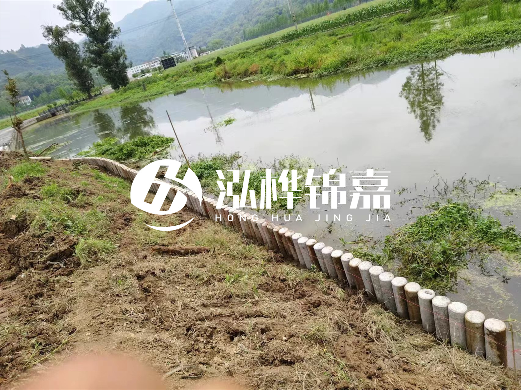 松木樁加固河道與水泥樁對(duì)比如何？哪一種更加適合您？