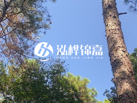 松木樁廠家泓樺錦嘉可以實(shí)地考察嗎？需要提前預(yù)約嗎？