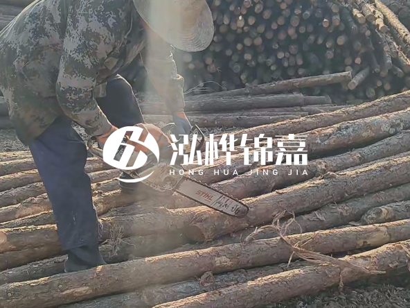 廣東打樁木源頭廠家泓樺錦嘉 - 如何選擇適合特定邊坡的松木樁？