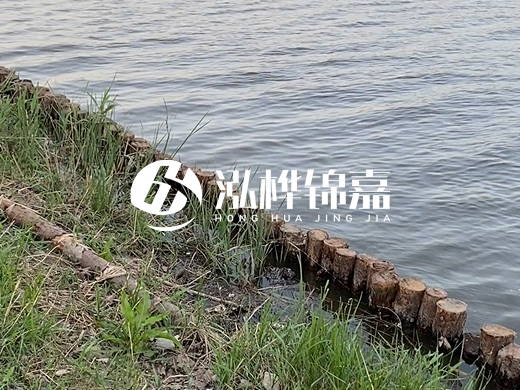 防洪松木樁施工重要性？河道打木樁的位置怎么確定？
