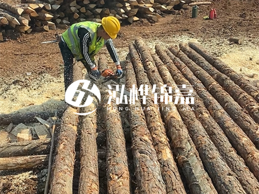 松木樁批發(fā)廠家泓樺錦嘉-河道打樁木施工中怎么防止樁頭被打壞？