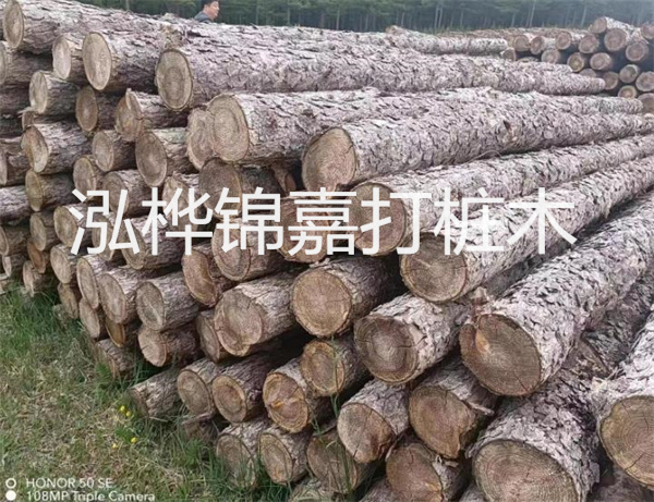 高效修補，保駕護航！水泥路面高強度修補料為您解決煩惱！