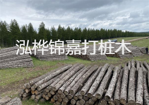 鋼結構施工方案大全免費提供，助力工程建設