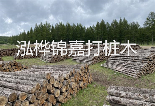 預(yù)制松木樁施工工藝：優(yōu)質(zhì)材料，高效快速，堅(jiān)固耐用