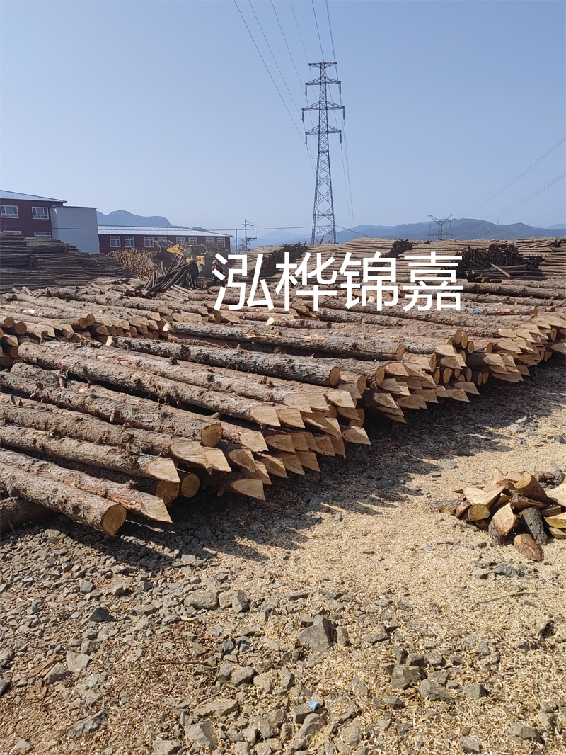 深入了解松木樁基礎(chǔ)施工單價，助力工程建設(shè)順利進(jìn)行！