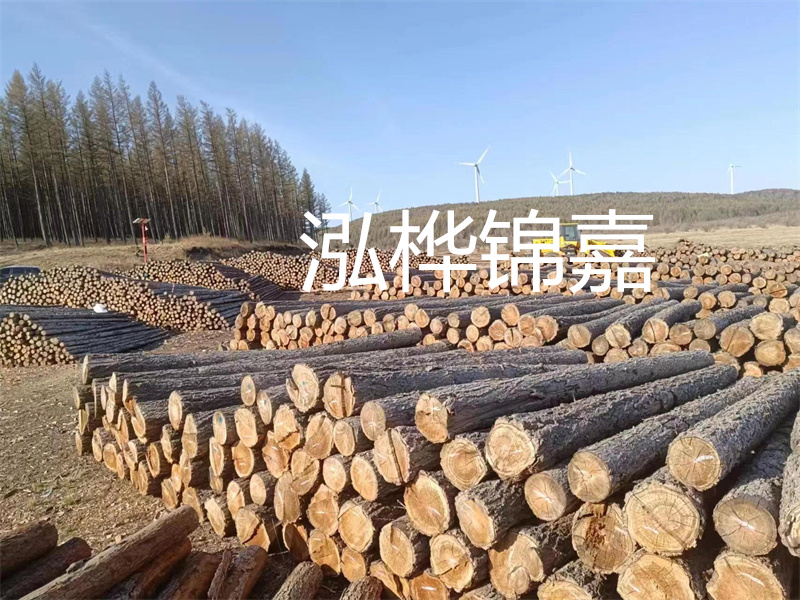 用路基松木樁施工方案提升工程質(zhì)量描述：了解路基松木樁施工方案的重要性，提高工程質(zhì)量關(guān)鍵詞：路基松木樁，施工方案，工程質(zhì)量