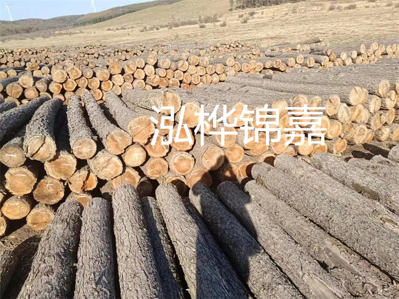 選擇合適的路緣石尺寸，打造美麗道路