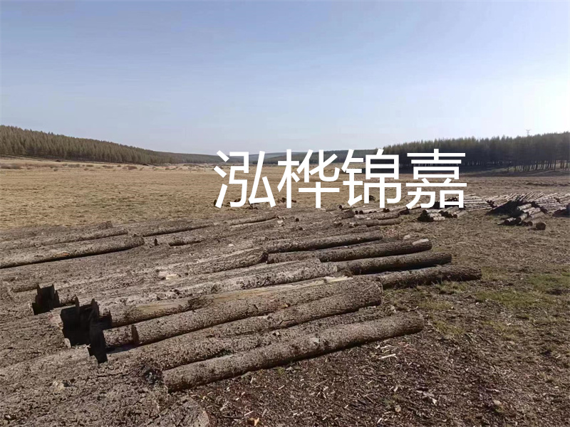 鄂州松木樁哪里好？推薦泓樺錦嘉松木樁業(yè)！